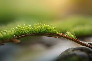 plant close up with greenery and dew drops background images wallpaper with Ai generated photo