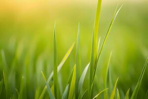 plant close up with greenery and dew drops background images wallpaper with Ai generated photo