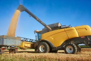 Yellow combine harvester pouring grain into tractor trailer photo