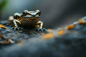 foto realista feroz omnívoro animal en naturaleza con generado por ai