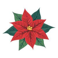 Isolated red poinsettia flower. A popular plant for Christmas or New Year. Traditional decor on the wall or door for Christmas, New Year. Cartoon flat style. Vector illustration.