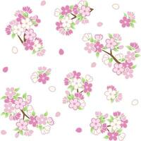 Spring sakura blossom pattern vector