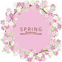 Spring sakura frame background vector