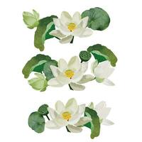 watercolor white lotus elements collection on white background isolated vector