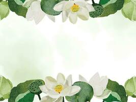 watercolor white lotus elements collection on white background isolated vector