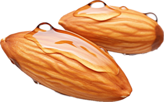 AI generated almonds with an oil drop png