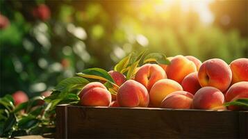 fresh peaches in a wooden box on a table AI Generative photo