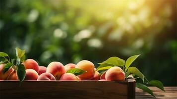 fresh peaches in a wooden box on a table AI Generative photo
