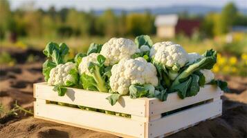 cauliflower in a wooden crate on a table AI Generative photo