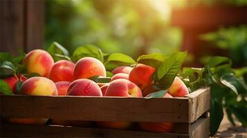 fresh peaches in a wooden box on a table AI Generative photo