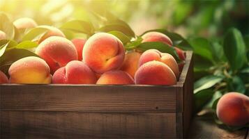 fresh peaches in a wooden box on a table AI Generative photo