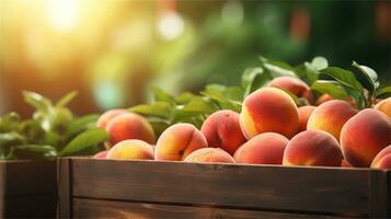 fresh peaches in a wooden box on a table AI Generative photo