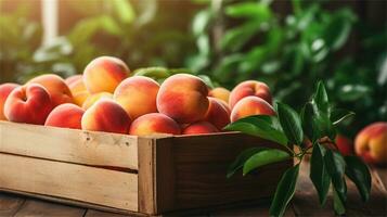 fresh peaches in a wooden box on a table AI Generative photo