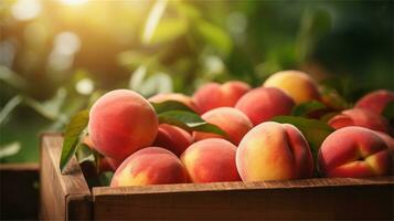 fresh peaches in a wooden box on a table AI Generative photo