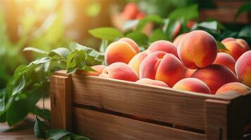 fresh peaches in a wooden box on a table AI Generative photo