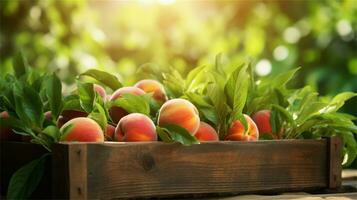 fresh peaches in a wooden box on a table AI Generative photo