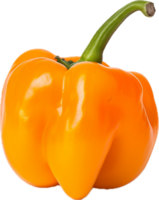 AI generated orange habanero pepper png