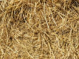close up hay bale background texture photo