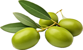 AI generated Green olives with leaves png