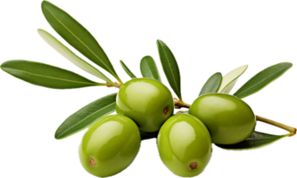 AI generated Green olives with leaves png