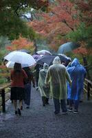 group of people walking in season change park against raining kyoto japan photo