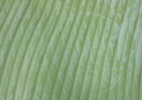 green banana leaf background, abstract leaf texture photo