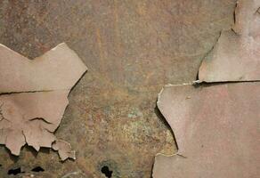 rusty plate with peeling paint photo