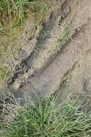 close up of a wet soil photo