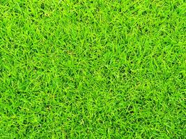background from green grass texture pattern photo