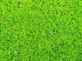 background from green grass texture pattern photo