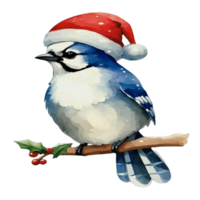 ai gegenereerd blauw gaai schattig gelukkig slijtage een de kerstman hoed ai generatief png