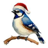ai generiert Blau Jay süß glücklich tragen ein Santa Hut ai generativ png