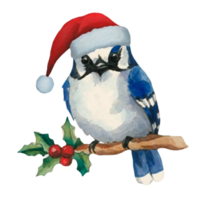 ai gegenereerd blauw gaai schattig gelukkig slijtage een de kerstman hoed ai generatief png