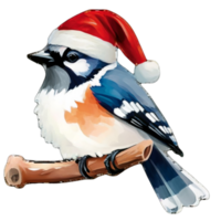 ai gegenereerd blauw gaai schattig gelukkig slijtage een de kerstman hoed ai generatief png