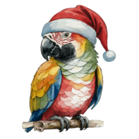 AI generated Parrot Cute Happy Wear A Santa Hat  AI Generative png