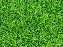 background from green grass texture pattern photo