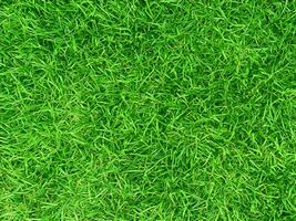 background from green grass texture pattern photo