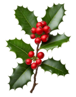 ai generiert Weihnachten Stechpalme Beeren. png