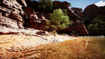 The reflection of the mountains in the River video