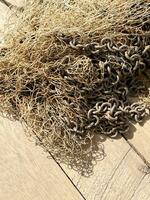 old wooden board with rope on the background of the sea photo