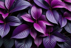 Background deep black purple plant. AI Generative photo