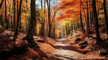 a painting of a path in the woods AI Generated photo