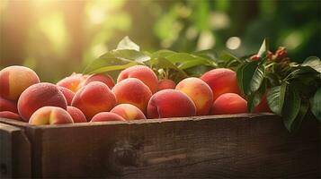 fresh peaches in a wooden box on a table AI Generative photo