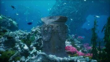 ruins of ancient civilization encrusted with algae and coral on sea bottom video