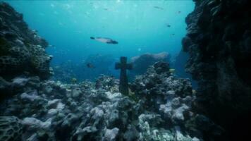 old stone cross part of necropolis sea floor video