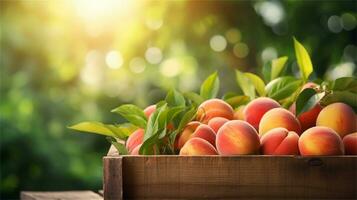 fresh peaches in a wooden box on a table AI Generative photo