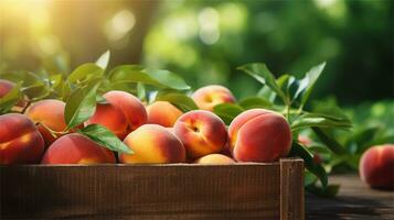 fresh peaches in a wooden box on a table AI Generative photo