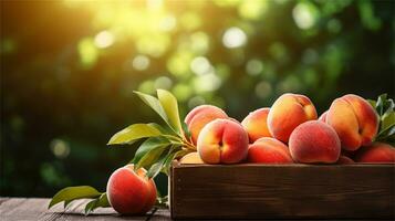 fresh peaches in a wooden box on a table AI Generative photo