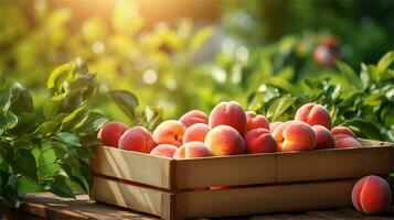 fresh peaches in a wooden box on a table AI Generative photo