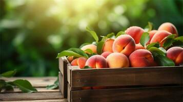 fresh peaches in a wooden box on a table AI Generative photo